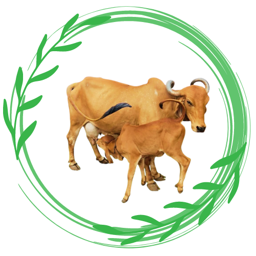 Heere Naturals logo - representing purity, authenticity, and quality in A2 Gir Cow products