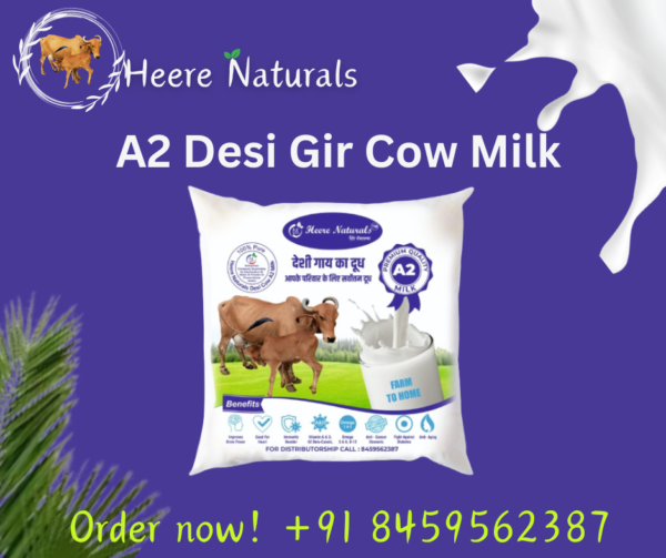 Heere Naturals A2 cow Milk Unlocking the Goodness: A Comprehensive Guide to A2 Milk and Its Health Benefits